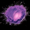 Cover Purple Unit - Human Dust Purple Unit - Human Dust