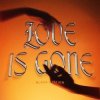 Cover Black Station - Love Is Gone Black Station - Love Is Gone