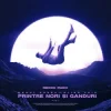 Cover Raoul Russu & Alina Jais - Printre nori si ganduri (Jayraa Remix) Raoul Russu & Alina Jais - Printre nori si ganduri (Jayraa Remix)