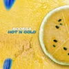 Cover Bodega - Hot N Cold Bodega - Hot N Cold