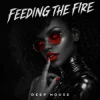 Cover ANONFX - FEEDING THE FIRE ANONFX - FEEDING THE FIRE