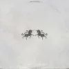 Cover The Chainsmokers & Oaks - Echo The Chainsmokers & Oaks - Echo