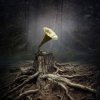 Cover Борис Гребенщиков - Безъядерная Зона (Виктор Цой) Борис Гребенщиков - Безъядерная Зона (Виктор Цой)