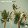 Cover Tom Novy & Chris Trucher - Wanderer Tom Novy & Chris Trucher - Wanderer