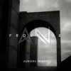 Cover Aurora Night - Prologue Aurora Night - Prologue