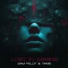 Cover Sam Feldt & TAME - Lost In Desire Sam Feldt & TAME - Lost In Desire