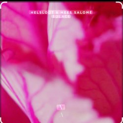 Cover Helsloot & Mees Salome - Solace (Extended Mix)