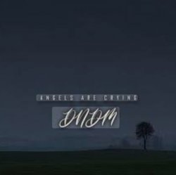 Cover DNDM - Angels Are Crying
