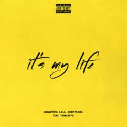 Cover Эндшпиль feat. TumaniYO - It's My Life