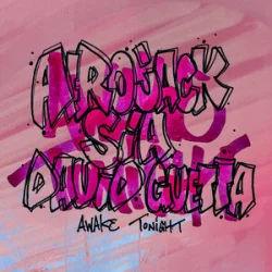Cover AFROJACK & Sia & David Guetta - Awake Tonight