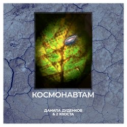 Cover Космонавтам