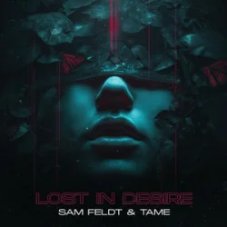 Cover Sam Feldt & TAME - Lost In Desire