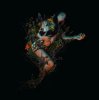 Cover Roniit - Bloom Roniit - Bloom