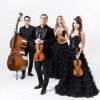 Cover The String Quartet - Money The String Quartet - Money