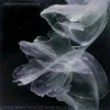 Cover Krewella & MERCY. MERCY. MERCY. - Moondance Krewella & MERCY. MERCY. MERCY. - Moondance