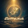 Cover ViTaLiKuS - Ветка Палестины ViTaLiKuS - Ветка Палестины