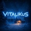 Cover ViTaLiKuS - Зимний вечер ViTaLiKuS - Зимний вечер