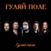 Гуляй Поле - Еду С Армии