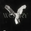 LONOWN & riserayss - worry (Slowed)