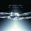 Cover Gryffin & Avello & Sasha Alex Sloan - Without You Gryffin & Avello & Sasha Alex Sloan - Without You