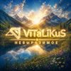 Cover ViTaLiKuS - Невыразимое ViTaLiKuS - Невыразимое