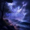 Cover ViTaLiKuS - В Черноморьe ViTaLiKuS - В Черноморьe