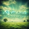Cover ViTaLiKuS - Гой ты, Русь, моя родная ViTaLiKuS - Гой ты, Русь, моя родная