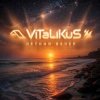 Cover ViTaLiKuS - Летний вечер ViTaLiKuS - Летний вечер