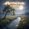 Cover ViTaLiKuS - Родина ViTaLiKuS - Родина