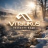Cover ViTaLiKuS - Весенние воды ViTaLiKuS - Весенние воды