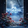 Cover ViTaLiKuS - Снег идёт ViTaLiKuS - Снег идёт