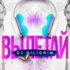 Cover DJ Piligrim - Вылетай DJ Piligrim - Вылетай