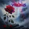 Cover ViTaLiKuS - Однообразные мелькают… ViTaLiKuS - Однообразные мелькают…