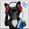Cover Dj Bobojon - A Dog's Perspective Dj Bobojon - A Dog's Perspective