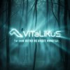 Cover ViTaLiKuS - Нам легко не будет никогда ViTaLiKuS - Нам легко не будет никогда