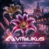 Cover ViTaLiKuS - Мне мил прелестный ваш подарок ViTaLiKuS - Мне мил прелестный ваш подарок