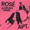Cover ROSÉ & Bruno Mars - APT (DJ XAN Remix) ROSÉ & Bruno Mars - APT (DJ XAN Remix)