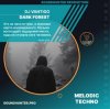 Cover DJ VANTIGO - Dark Forest DJ VANTIGO - Dark Forest