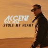 Cover Akcent feat. Reea - Stole My Heart Akcent feat. Reea - Stole My Heart