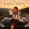 Cover Faina Stefa - Крути мене у тачці! Faina Stefa - Крути мене у тачці!