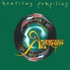 Cover Nautilus Pompilius & БГ - Нежный вампир Nautilus Pompilius & БГ - Нежный вампир