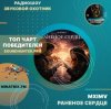 Cover MXIMV - Раненое сердце MXIMV - Раненое сердце