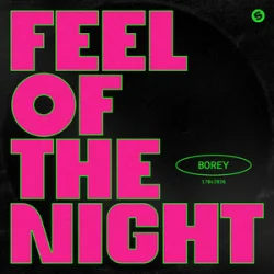 Cover Borey - Feel Of The Night