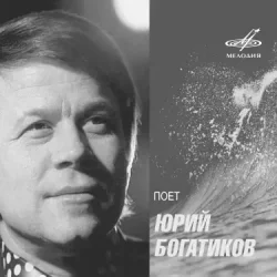 Cover Юрий Богатиков - Лизавета