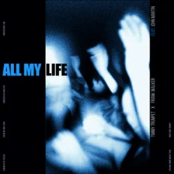 Cover Timmy Trumpet & Frank Walker & John Martin - All My Life
