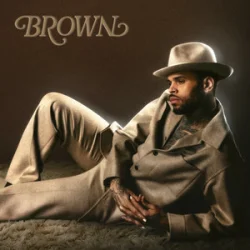 Cover Chris Brown - For The Moment