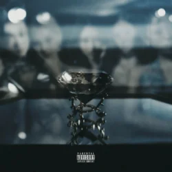 Cover VVS - DA$H