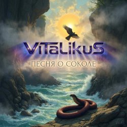 Cover ViTaLiKuS - Песня о Соколе