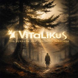 Cover ViTaLiKuS - Ель рукавом мне тропинку завесила…