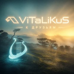 Cover ViTaLiKuS - К друзьям